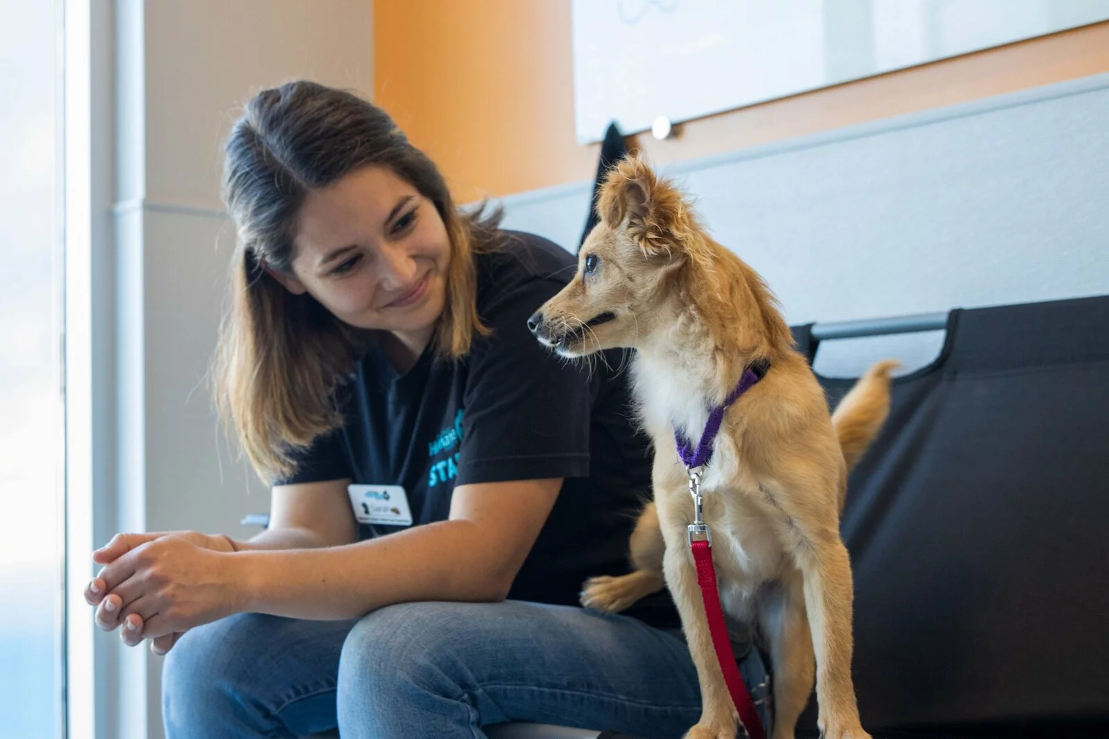 A woman sitting on a bench indoors smiles warmly at a small tan dog with a red leash, who is sitting beside her and looking back at her.