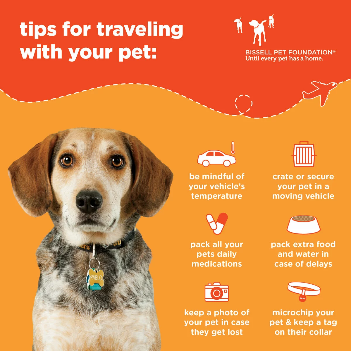 A dog wearing a collar sits in front of an orange background. Text lists travel tips for pets, including minding vehicle temperature, securing pets, packing meds, extra food, a photo of your pet incase they get lost, and ensuring microchip or ID tag are up to date and on.