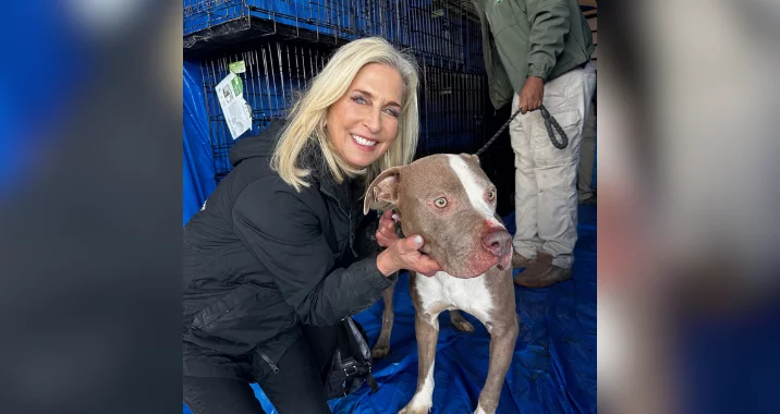 A woman with blonde hair, wearing a black jacket, kneels and smiles while holding the face of a brown and white dog on a blue tarp. Another person stands nearby, partially visible, holding the dog’s leash.