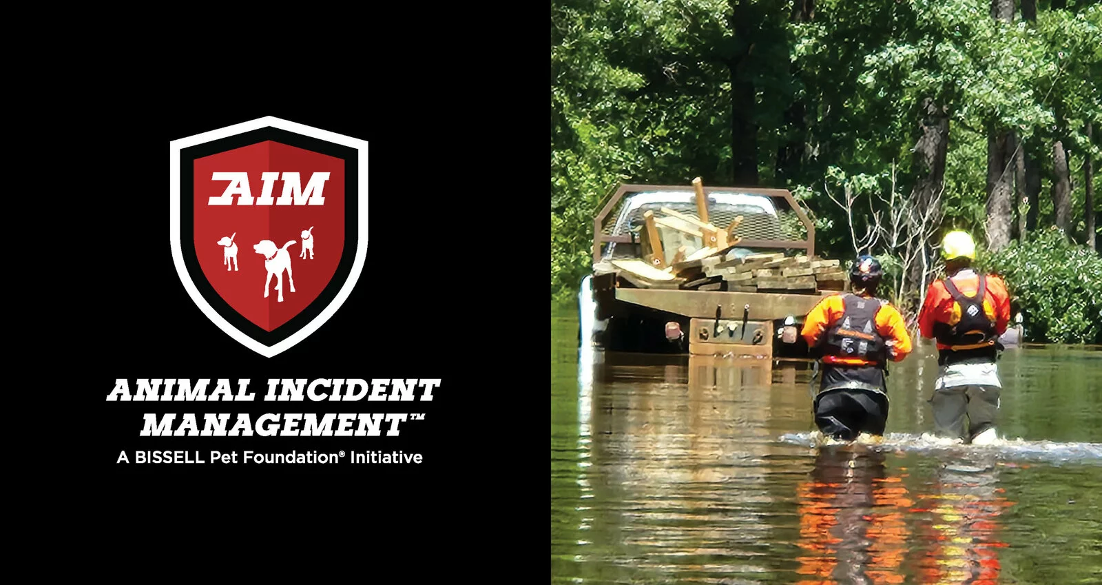 A logo for Animal Incident Management appears beside a photo of two rescue workers in orange jackets, wading through floodwaters toward a truck loaded with wooden planks in a forested area.