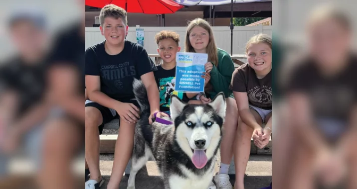 Four smiling kids sit outdoors with a black and white husky dog. One child holds a sign about pet adoption. Bright sunlight and an umbrella are visible in the background.