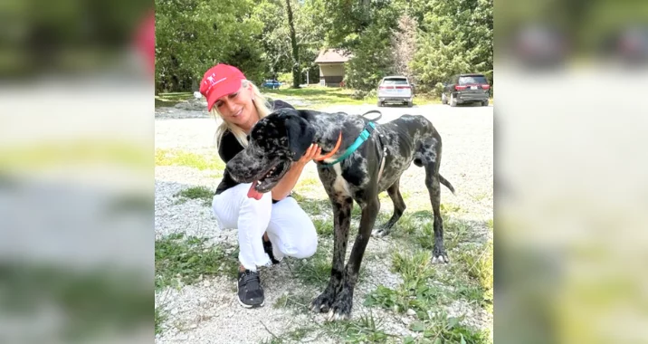 A woman in a red cap and white outfit kneels next to a large black and white Great Dane outdoors on a sunny day with trees, cars, and a cabin in the background.
