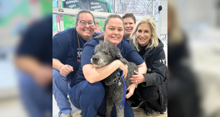Four smiling women pose together indoors with a curly-haired black dog on a leash in front, all crouching close and appearing happy. Colorful signs and a window are visible in the background.