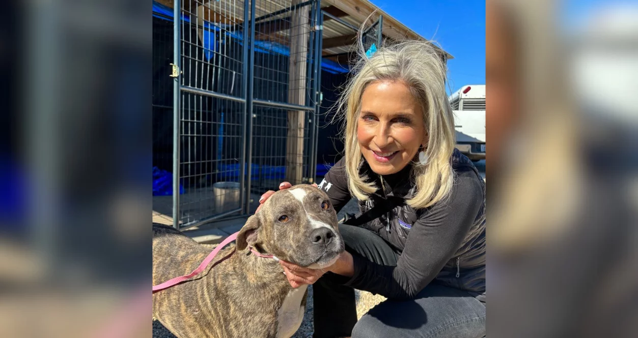 A smiling woman with blonde hair crouches next to a brown and white dog on a leash, gently holding its face, outside near a metal fence on a sunny day.