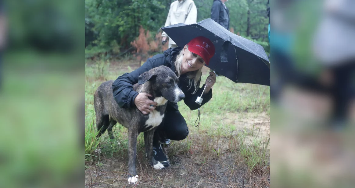 A woman in a red cap smiles while kneeling and hugging a large black and brown dog. She holds a black umbrella over them as they stand on a grassy path in a rainy, wooded area.