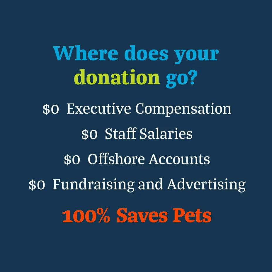 Text graphic with a blue background reads: Where does your donation go? $0 Executive Compensation, $0 Staff Salaries, $0 Offshore Accounts, $0 Fundraising and Advertising, 100% Saves Pets. The last line is in bold orange.